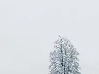 飑线会带来哪些天气现象（天气预报路线图）