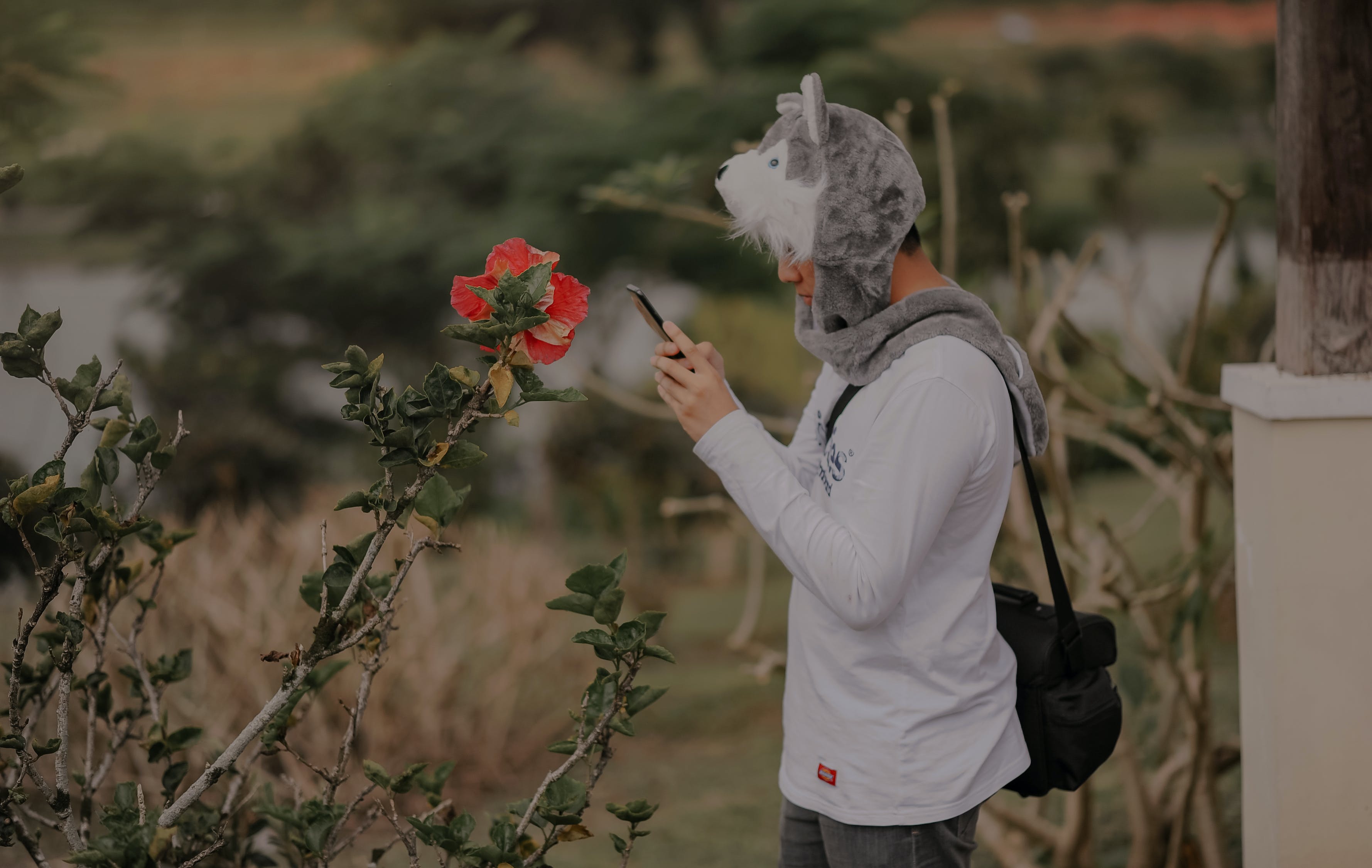 高考英语高频必考的固定搭配，还没认识全部的同学们赶紧记起来吧！