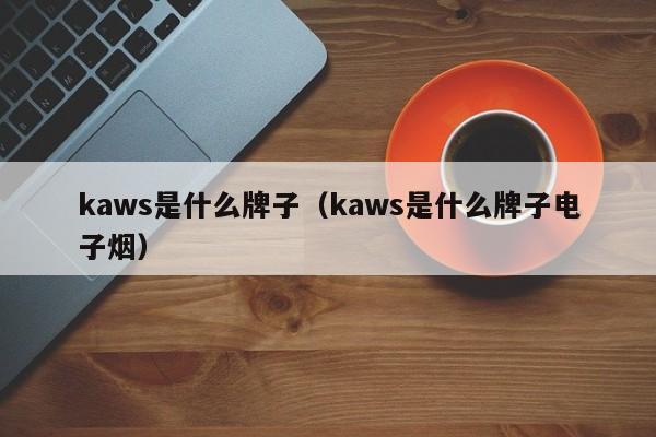 kaws是什么牌子（kaws是什么牌子电子烟）