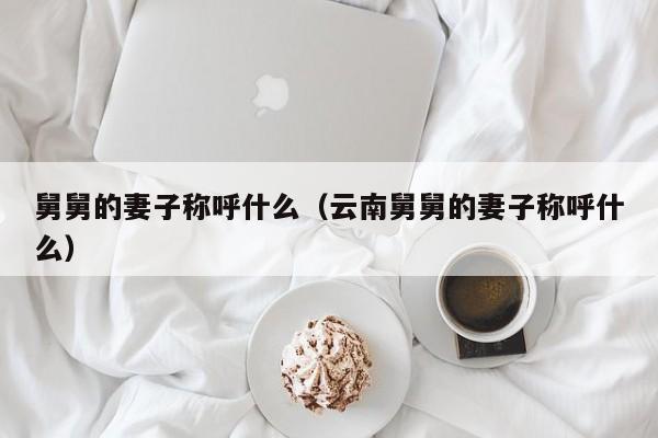 舅舅的妻子称呼什么（云南舅舅的妻子称呼什么）