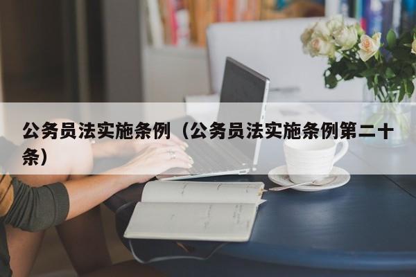 公务员法实施条例（公务员法实施条例第二十条）