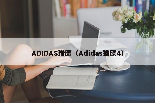 AD  * * * AS猎鹰（Adidas猎鹰4）