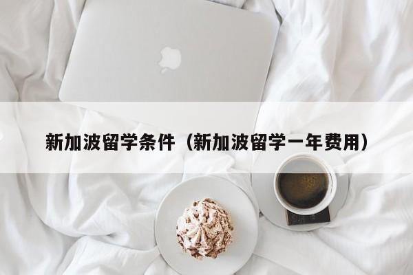 新加波留学条件（新加波留学一年费用）