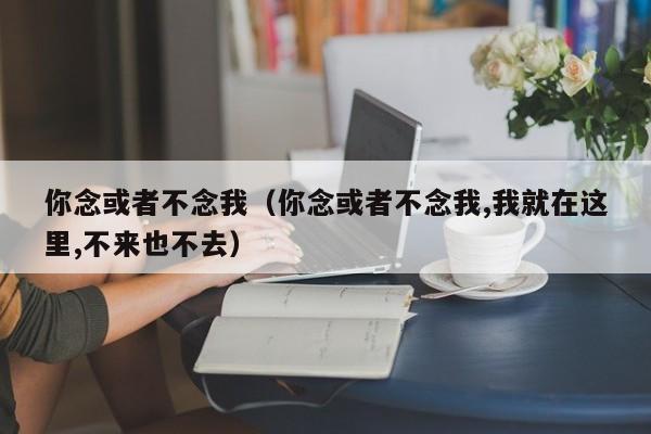 你念或者不念我（你念或者不念我,我就在这里,不来也不去）