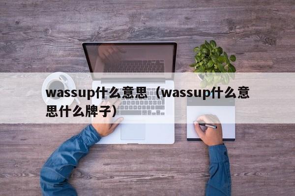 wassup什么意思（wassup什么意思什么牌子）