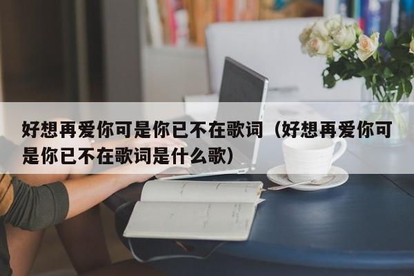 好想再爱你可是你已不在歌词（好想再爱你可是你已不在歌词是什么歌）