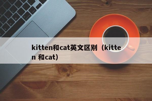 kitten和cat英文区别（kitten 和cat）